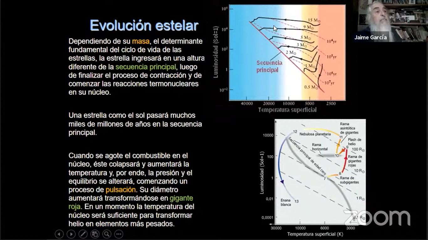 Evolucionan de acuerdo a su tamaño